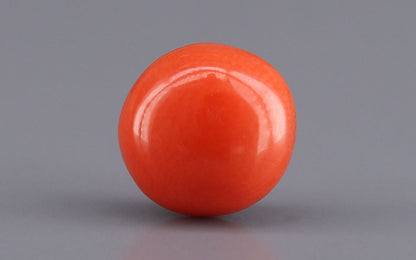 Red Coral (Moonga) Gemstone - 2.74 Carats
