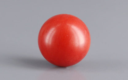 Red Coral (Moonga) Gemstone - 3.08 Carats