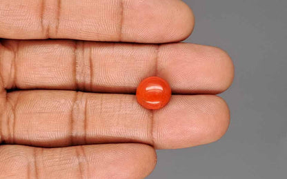 Red Coral (Moonga) Gemstone - 4.21 Carats