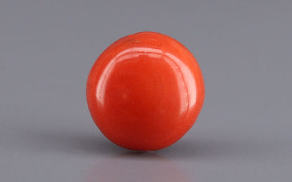 Red Coral (Moonga) Gemstone - 4.21 Carats