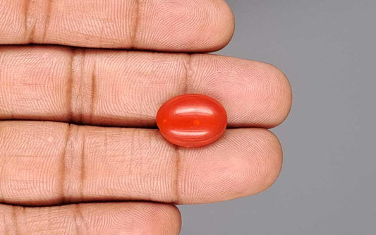 Red Coral (Moonga) Gemstone - 7.53 Carats