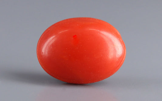Red Coral (Moonga) Gemstone - 7.53 Carats