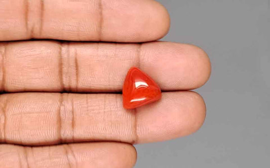 Red Coral (Moonga) Gemstone - 8.00 Carats