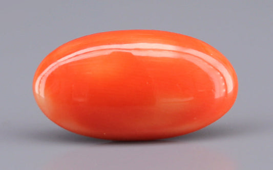 Red Coral (Moonga) Gemstone - 8.24 Carats