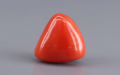 Red Coral (Moonga) Gemstone - 8.28 Carats
