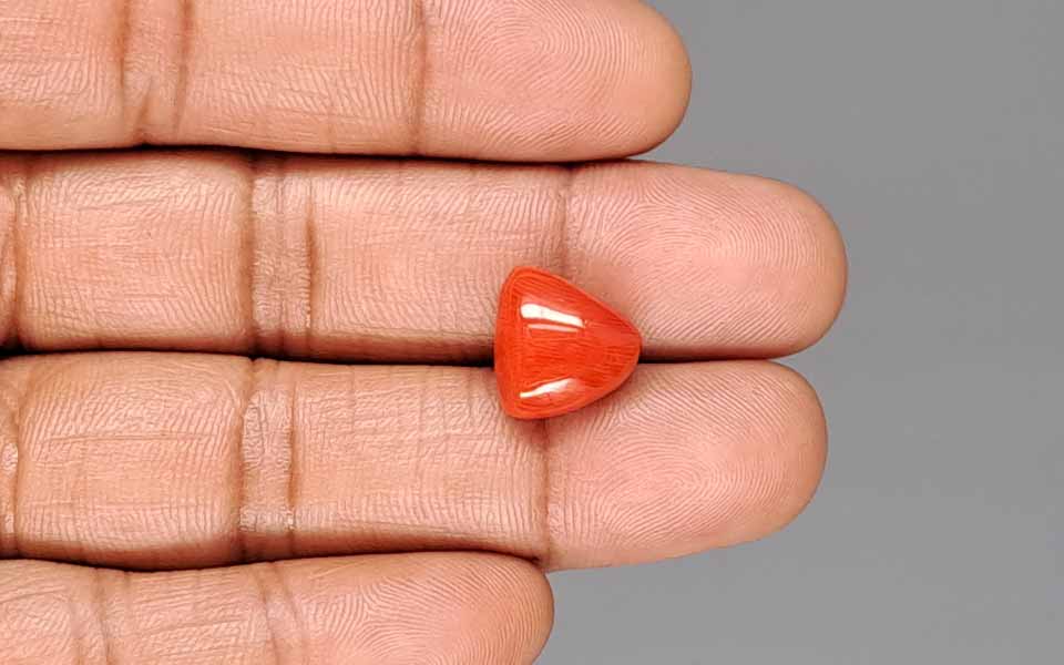 Red Coral (Moonga) Gemstone - 8.28 Carats