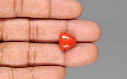 Red Coral (Moonga) Gemstone - 8.28 Carats