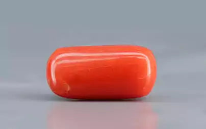 Red Coral - 3.69 Carats (Moonga - 4.02 Ratti)