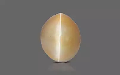 Cat's Eye - 3.07 Carats (Lahsuniya - 3.35 Ratti)