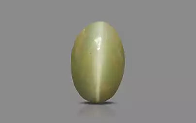 Cat's Eye - 2.53 Carats (Lahsuniya - 2.76 Ratti)
