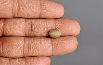Cats Eye (Lehsunia) - 3.65 Carats