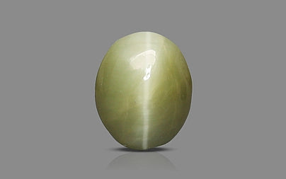 Cats Eye (Lehsunia) - 2.96 Carats
