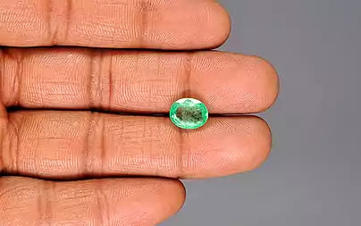 Emerald - 2.54 Carats (Panna - 2.77 Ratti)