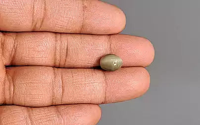 Cat's Eye - 4.04 Carats (Lahsuniya - 4.40 Ratti)
