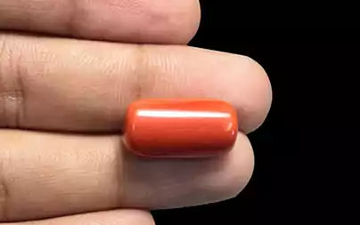 Red Coral (Moonga) - 15.95 Carats