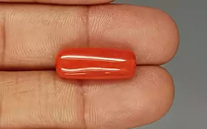Red Coral - 9.76 Carats (Moonga - 10.64 Ratti)