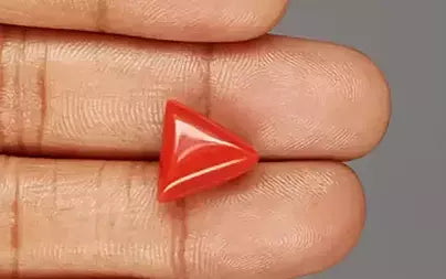 Red Coral (Moonga) - 7.94 Carats