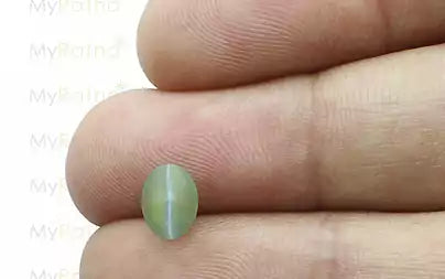 Cat's Eye - 1.46 Carats (Lahsuniya - 1.59 Ratti)
