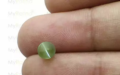 Cat's Eye - 1.46 Carats (Lahsuniya - 1.59 Ratti)