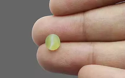 Cat's Eye - 1.32 Carats (Lahsuniya - 1.44 Ratti)
