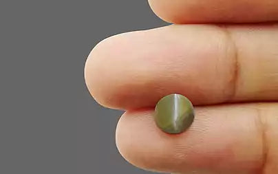 Cat's Eye - 2.66 Carats (Lahsuniya - 2.90 Ratti)