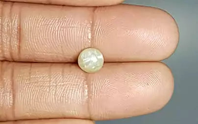 Cats Eye (Lehsunia) - 2.35 Carats