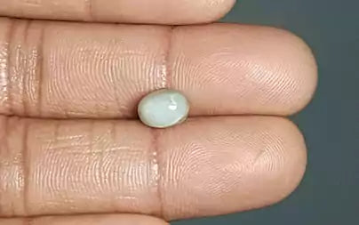 Cats Eye (Lehsunia) - 3.15 Carats