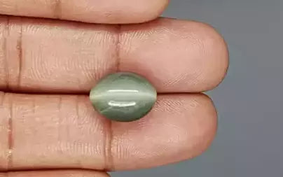 Cat's Eye - 8.31 Carats (Lahsuniya - 9.06 Ratti)