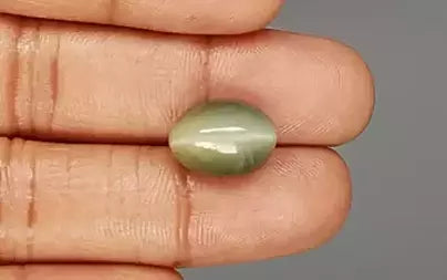 Cats Eye (Lehsunia) - 8.91 Carats