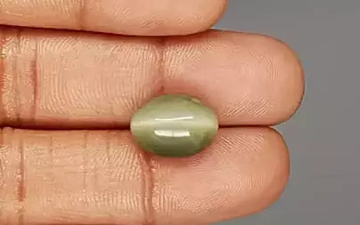 Cats Eye (Lehsunia) - 7.95 Carats