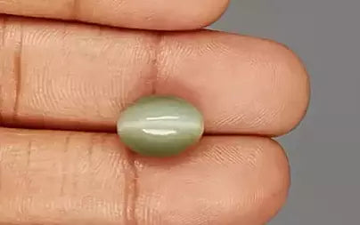 Cats Eye (Lehsunia) - 7.23 Carats