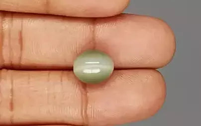 Cat's Eye - 6.31 Carats (Lahsuniya - 6.88 Ratti)