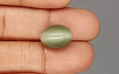 Cat's Eye - 10.71 Carats (Lahsuniya - 11.67 Ratti)
