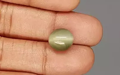 Cats Eye (Lehsunia) - 7.04 Carats