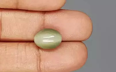 Cats Eye (Lehsunia) - 6.48 Carats