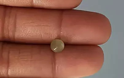 Cats Eye (Lehsunia) - 2.13 Carats