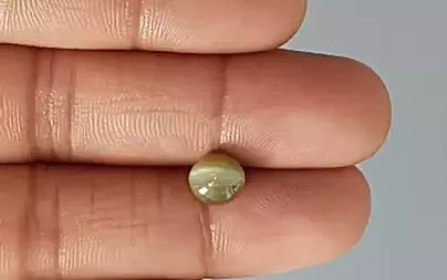 Cat's Eye - 3.01 Carats (Lahsuniya - 3.28 Ratti)