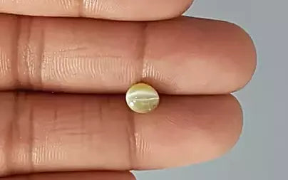 Cats Eye (Lehsunia) - 2.07 Carats