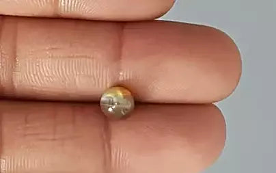 Cats Eye (Lehsunia) - 2.26 Carats