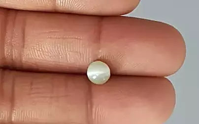 Cat's Eye - 2.02 Carats (Lahsuniya - 2.20 Ratti)