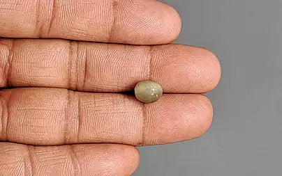 Cats Eye (Lehsunia) - 3.07 Carats