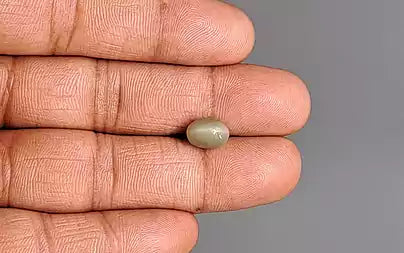 Cats Eye (Lehsunia) - 2.96 Carats