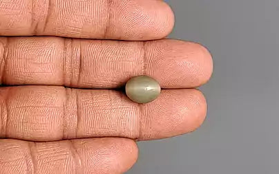 Cat's Eye - 5.58 Carats (Lahsuniya - 6.08 Ratti)