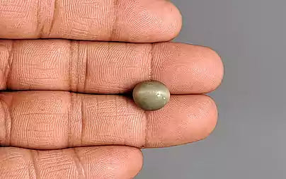 Cat's Eye - 6.09 Carats (Lahsuniya - 6.64 Ratti)