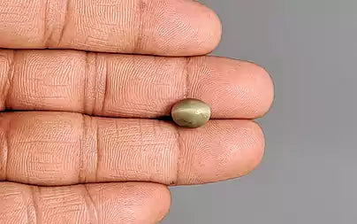 Cat's Eye - 3.19 Carats (Lahsuniya - 3.48 Ratti)