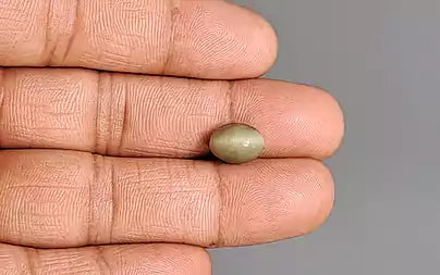 Cat's Eye - 4.21 Carats (Lahsuniya - 4.59 Ratti)