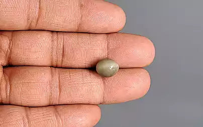 Cat's Eye - 4.46 Carats (Lahsuniya - 4.86 Ratti)