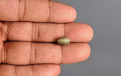 Cats Eye (Lehsunia) - 2.71 Carats