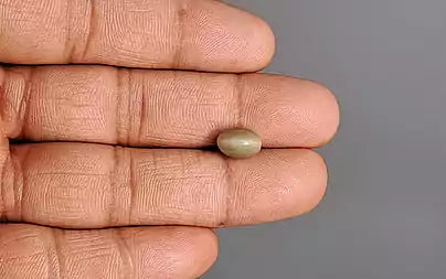 Cat's Eye - 2.53 Carats (Lahsuniya - 2.76 Ratti)