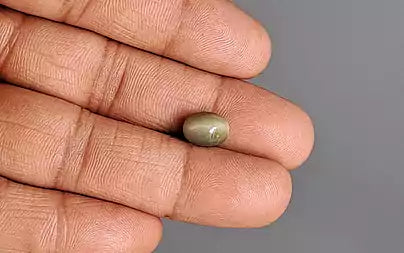 Cats Eye (Lehsunia) - 3.25 Carats